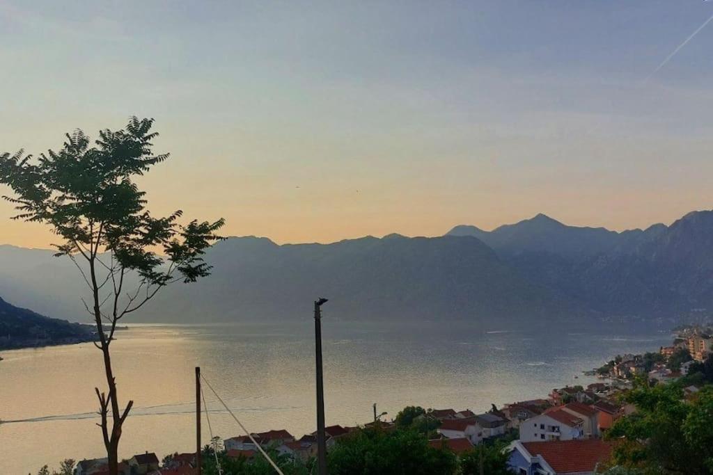 Apartamento Animil 1 Kotor Exterior foto